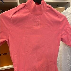 Alexander wang dress